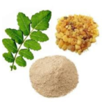 Boswellia - Image 4